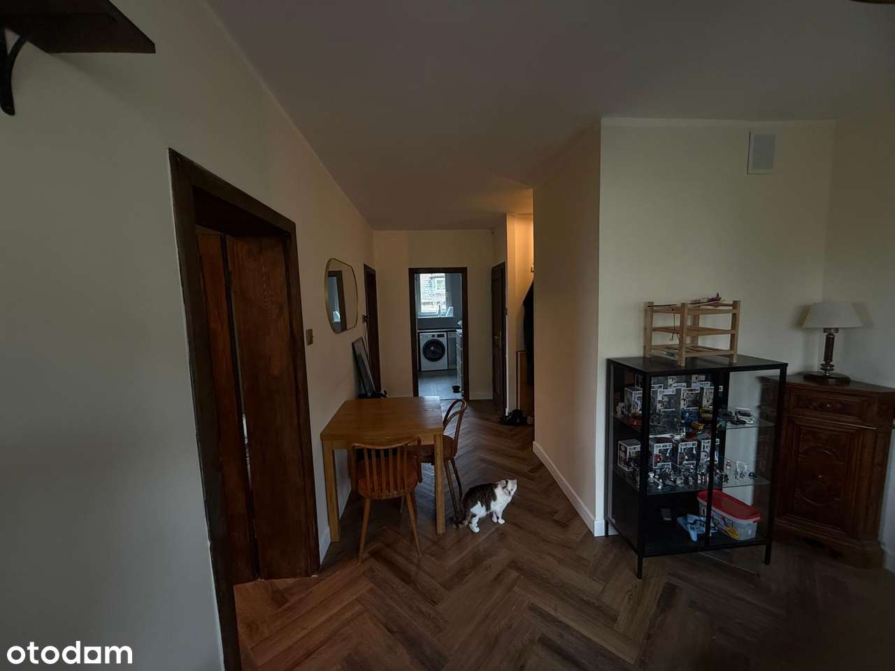 Przestronny 4-pokojowy apartament z 2 balkonami i oknami na 3 kierunki - Pełny obrazek: 3/20