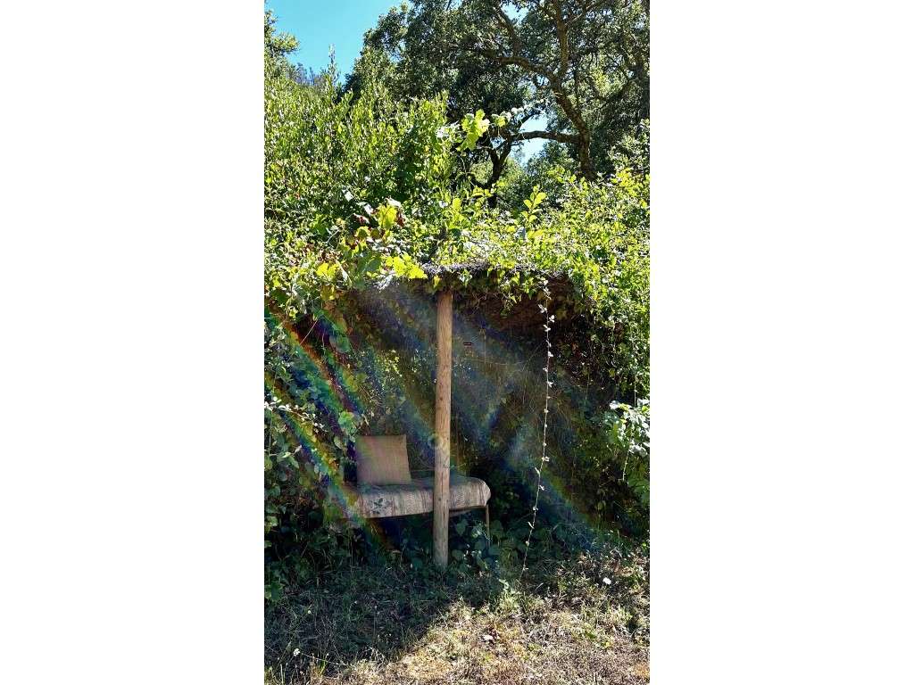 CASAS de CAMPO (3 Prédios)-56