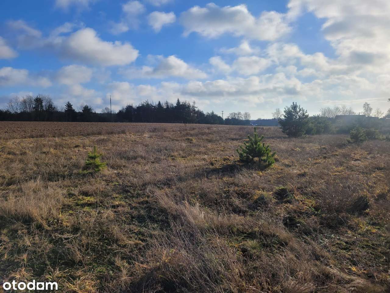 GOŁĄBKI na sprzeedaż działka budowlana 950m2-5