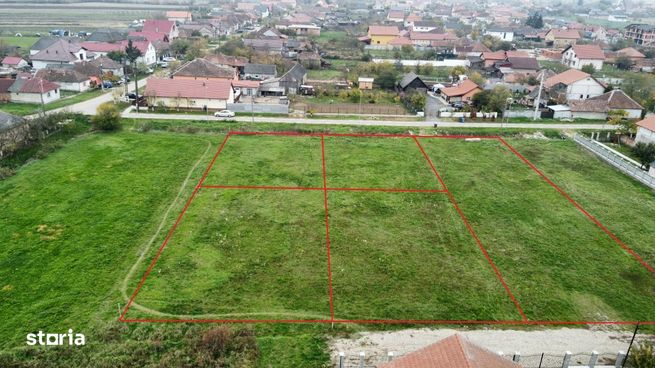 Trei parcele de 600 mp in Botiz | Toate utilitatile, aproape de oras-7