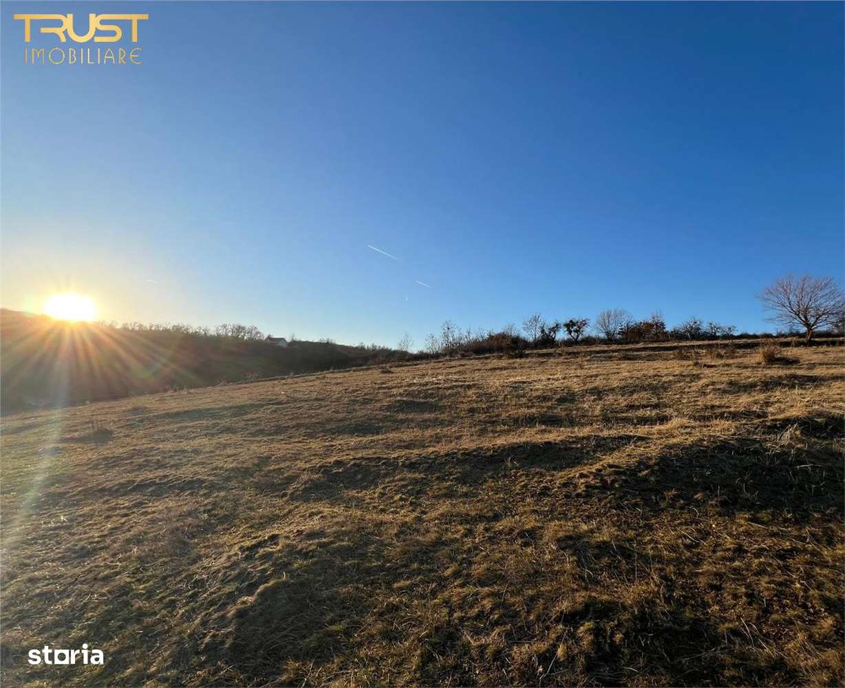 Teren intravilan zona - Imagine principală: 3/8