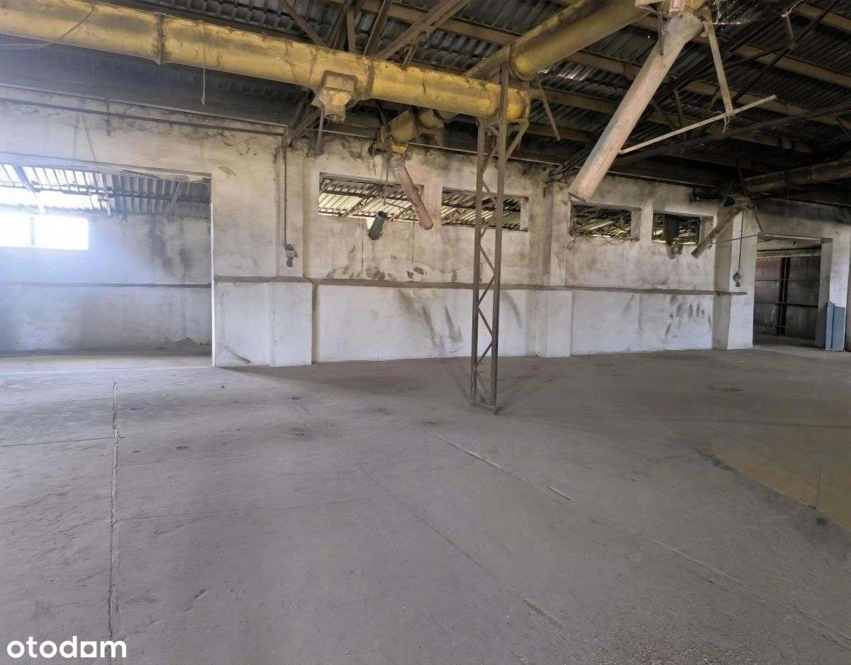 Hala magazynowo-produkcyjna z zapleczem biurowym-4