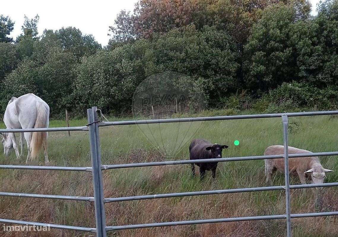 Quinta T2 para venda-36