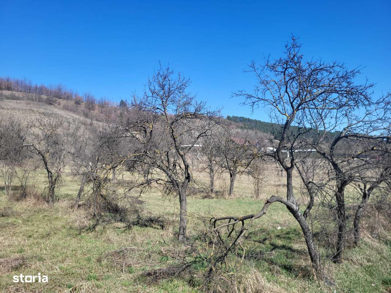 Parcele de vânzare în Tinăud Bihor - Imagine principală: 5/8