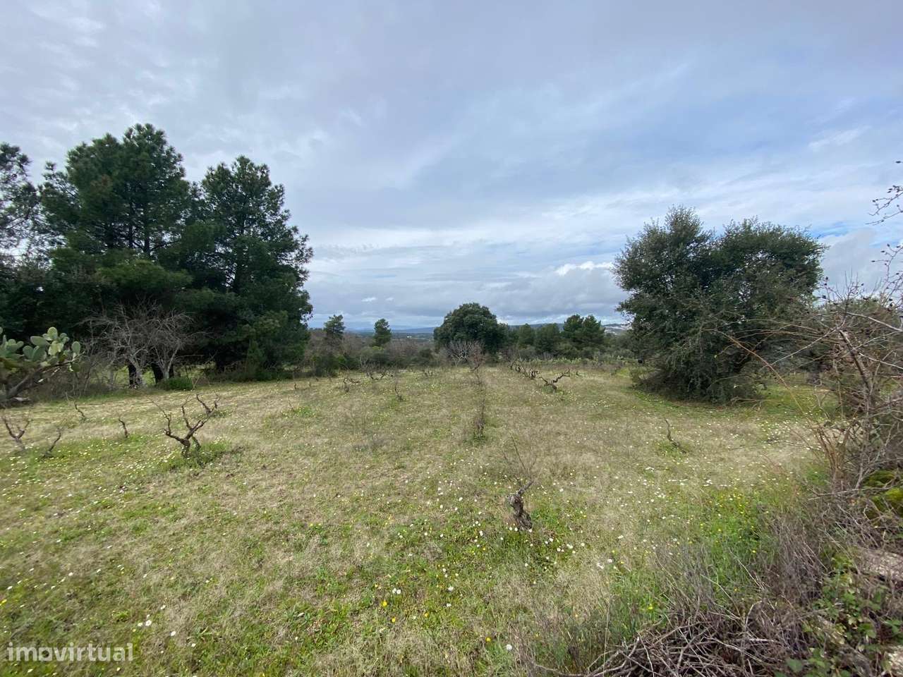 Quintinha - Grande imagem: 4/21