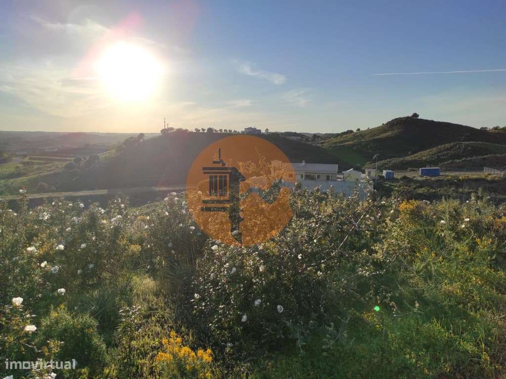 TERRENO RÚSTICO COM 2.920 M2 - ELECTRICIDADE - COM ÁRVORES - MATOS ... - Grande imagem: 4/40