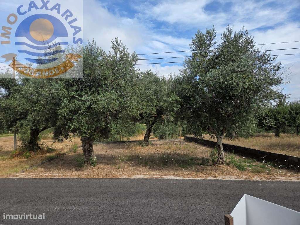 Moradia T3 Mobilada com Sótão Amplo - Marta, Lameirinha-30