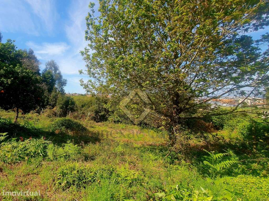 TERRENO JUNTO AO HOSPITAL SANTOS SILVA EM V N GAIA-10