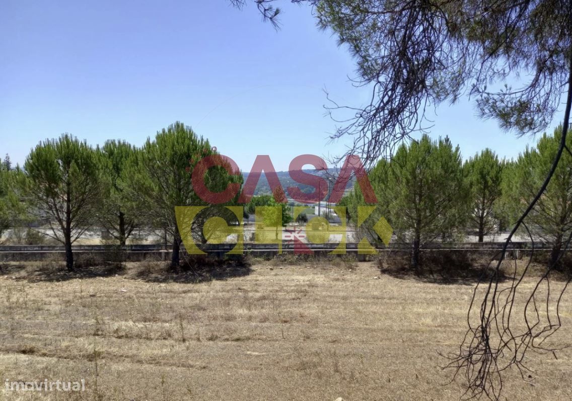 Lote de Terreno  Venda em Constância,Constância - Grande imagem: 1/15