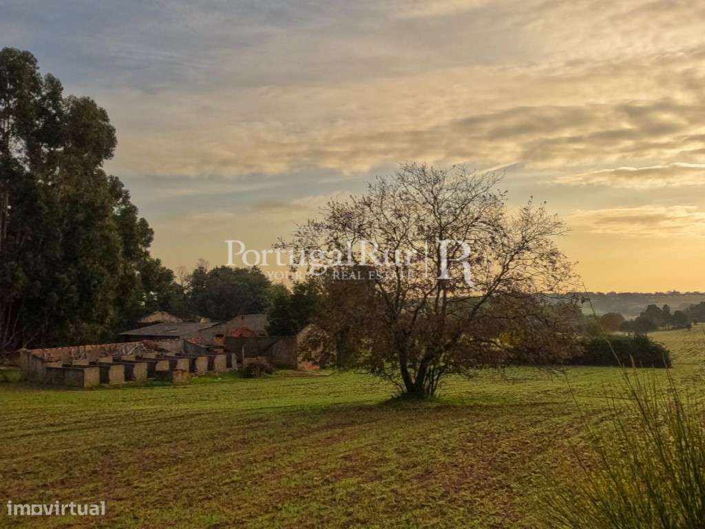 Quinta com 5 hectares e ruína - Grande imagem: 2/20