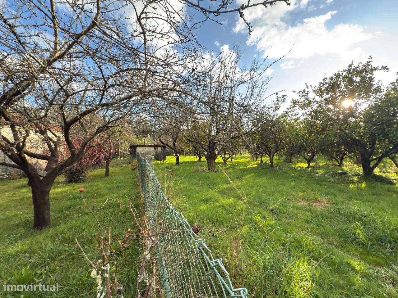 Quinta T6 Venda em Valdreu,Vila Verde-17