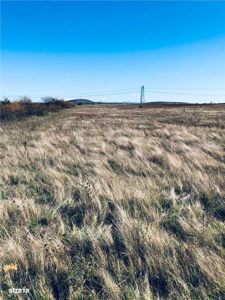 RECO Teren intravilan Cihei - Imagine principală: 2/5