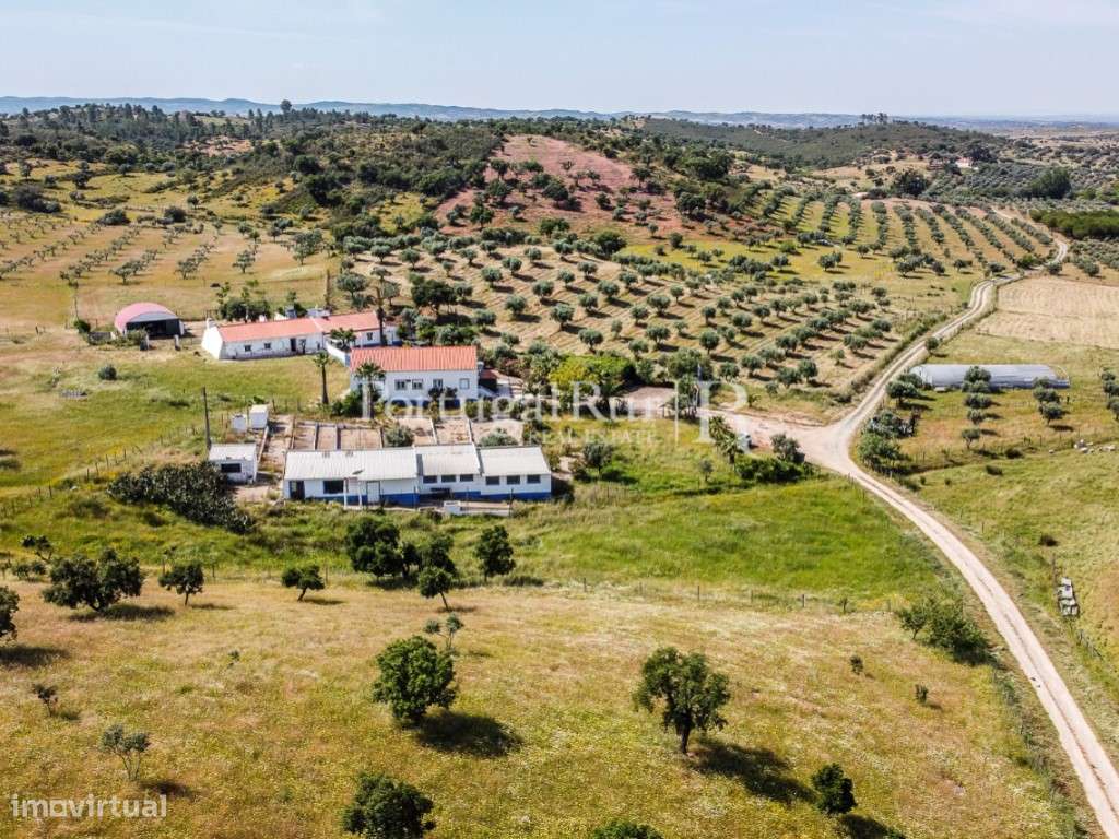 Herdade com 21ha perto do Lago Alqueva - Grande imagem: 3/56