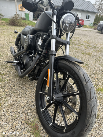 Harley-Davidson Sportster Iron 883 - 10