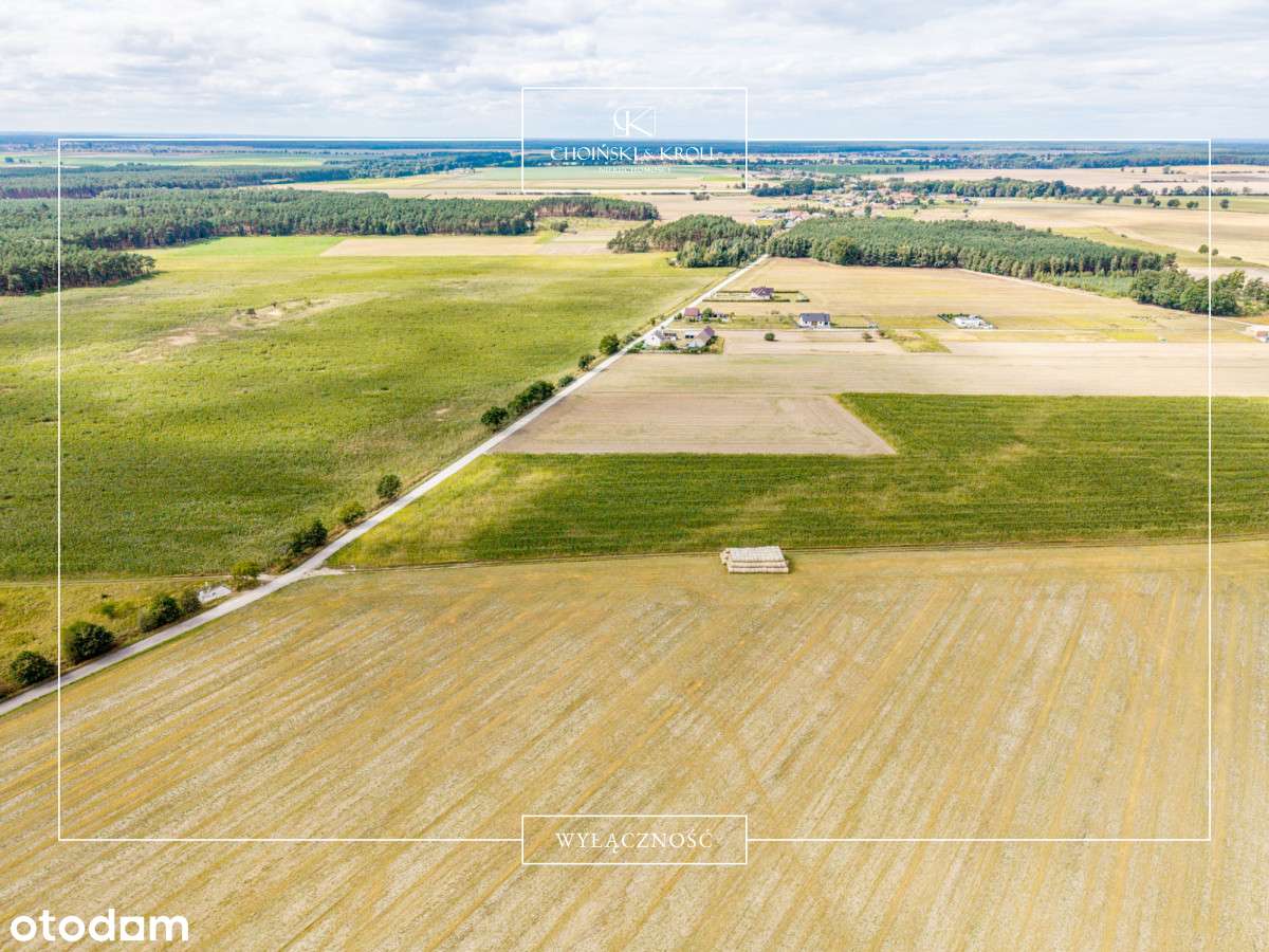 Okazja! Działka budowlana w sercu natury - Pełny obrazek: 4/5