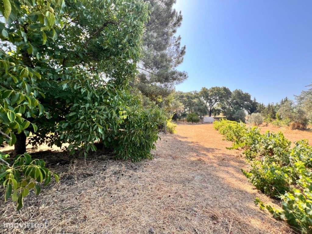 Terreno com possibilidade construção com luz e água em Abrantes - Grande imagem: 4/17