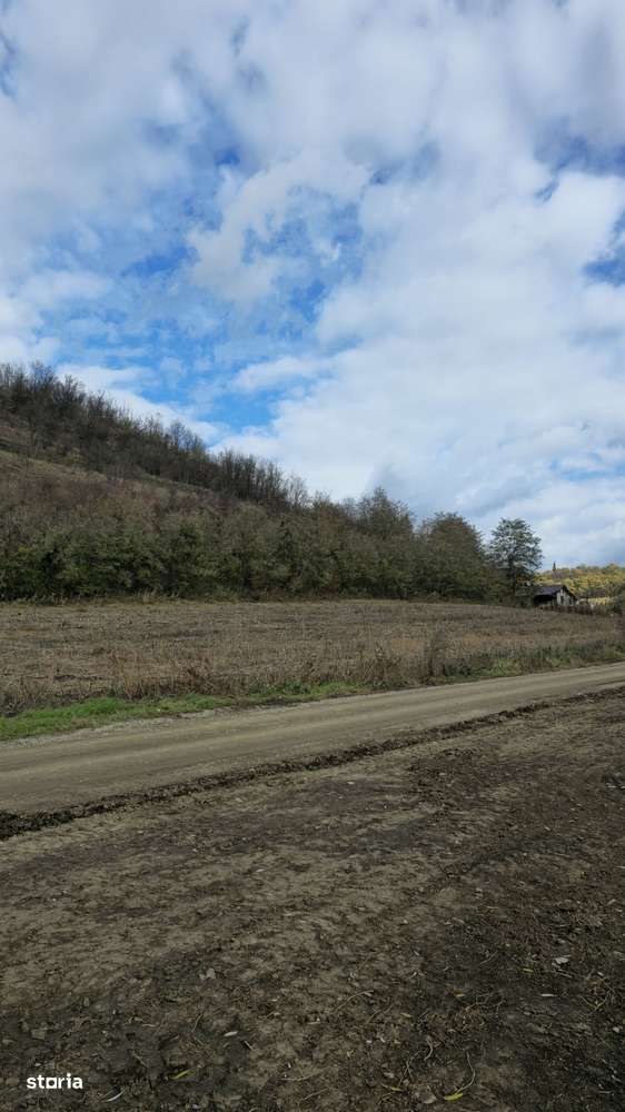 Teren intravilan în Mediaș, lângă Heleșteu-1