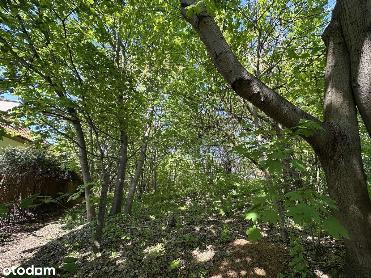 Działka budowlana z projektem i WZ ul. Drwęcka 27a Radiostacja Doły - Pełny obrazek: 3/15