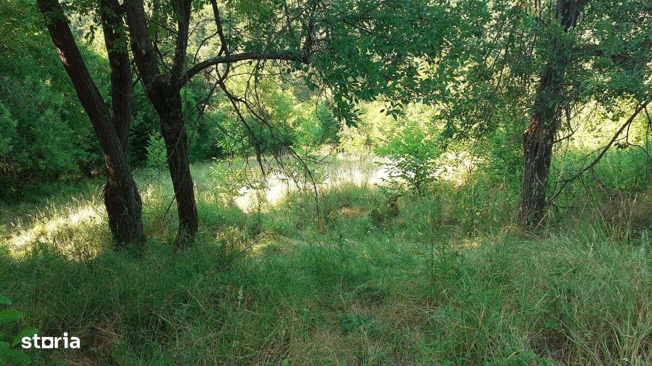 Roscani-Dobra-Teren Cabana-10km A1-Posibilitate Rate - Imagine principală: 4/8