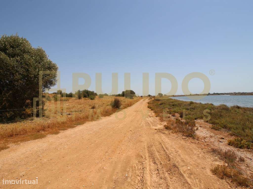 Quinta em Castro Marim a 5km da praia-20