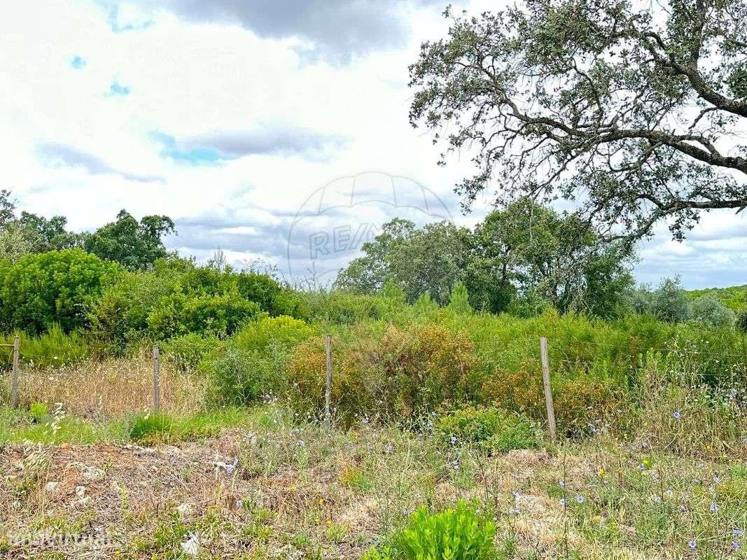 Terreno  para venda - Grande imagem: 5/6