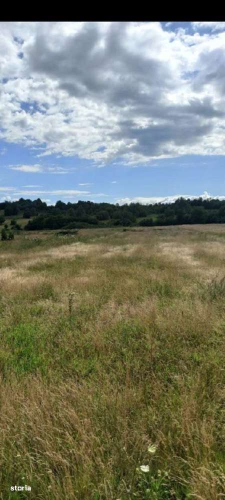 Teren de vânzare de 5777 mp, amplasare excelentă-2