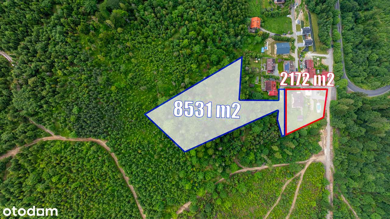 DOM w WIŚLE Z WŁASNYM LASEM basen sauna grillchata garaż strumień góry - Pełny obrazek: 5/20