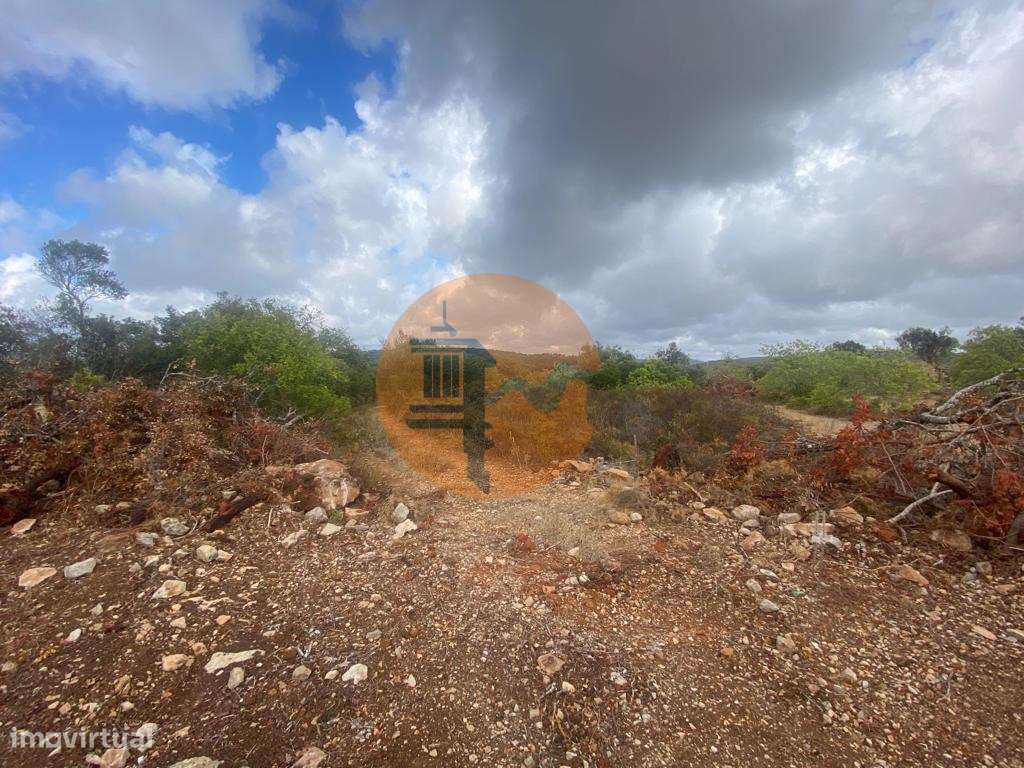 Terreno Misto - Grande imagem: 4/12