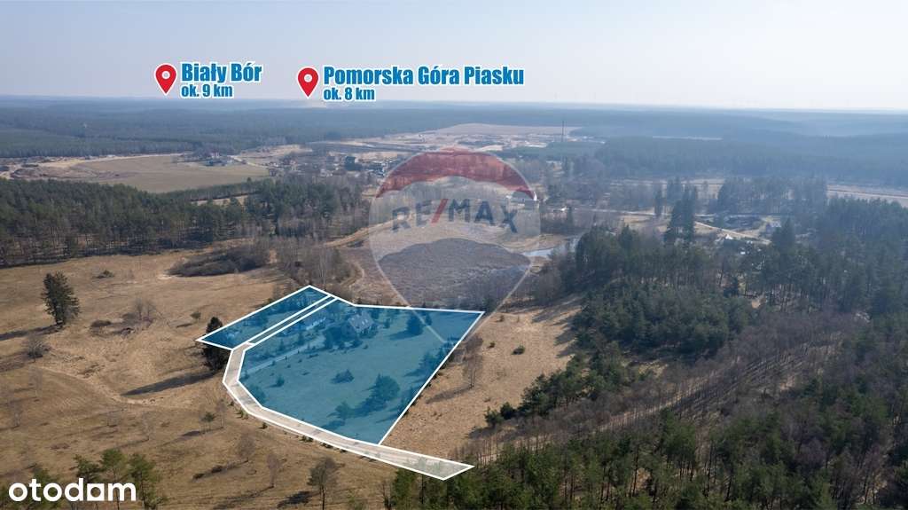 Sępolno Małe – azyl w sercu natury! - Pełny obrazek: 4/20