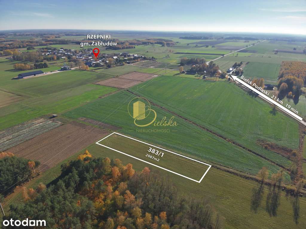 Kształtna działka WZ Zagrodowa-0