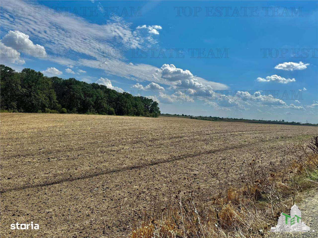 Teren de vanzare lotizat la padure cu utilitati in Frumusani  Calarasi - Imagine principală: 5/5