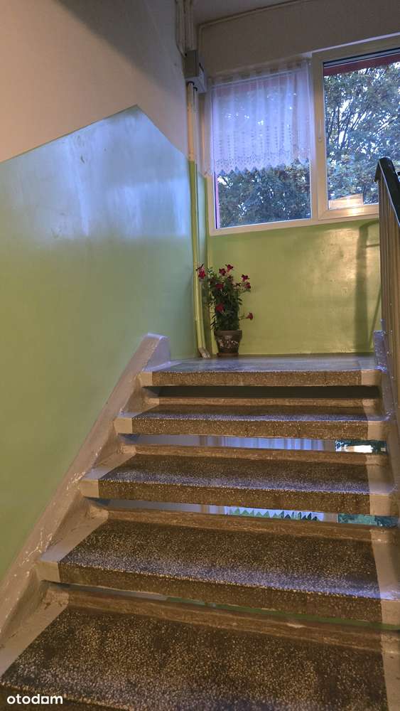 2 pokoje, 2 piętro w czteropiętrowcu-12