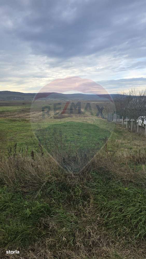 Teren intravilan si extravilan 8,282mp oras Negresti, judetul Vaslui - Imagine principală: 3/8