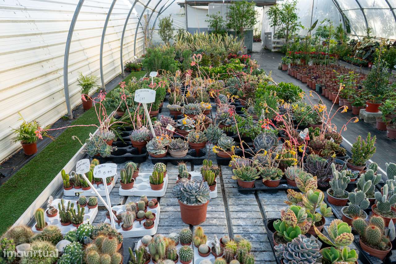 Trespasse de Centro de Jardinagem – Negócio Completo e Equipado - Beja-8