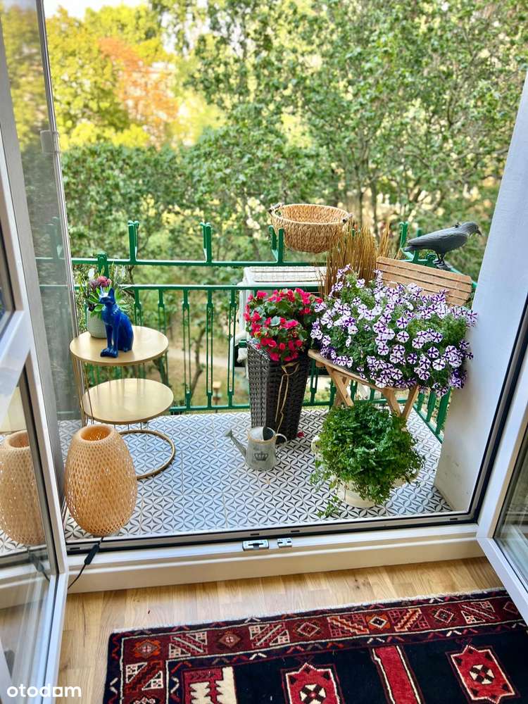 M2 do wprowadzenia, wysoki standard, klimatyzacja, parking, piwnica-11