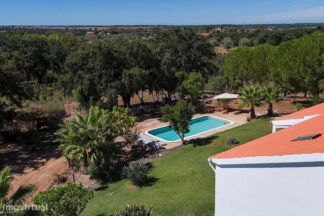 Quinta 9.6 ha, Foros de Vale Figueira, Montemor-o-Novo - Grande imagem: 3/44