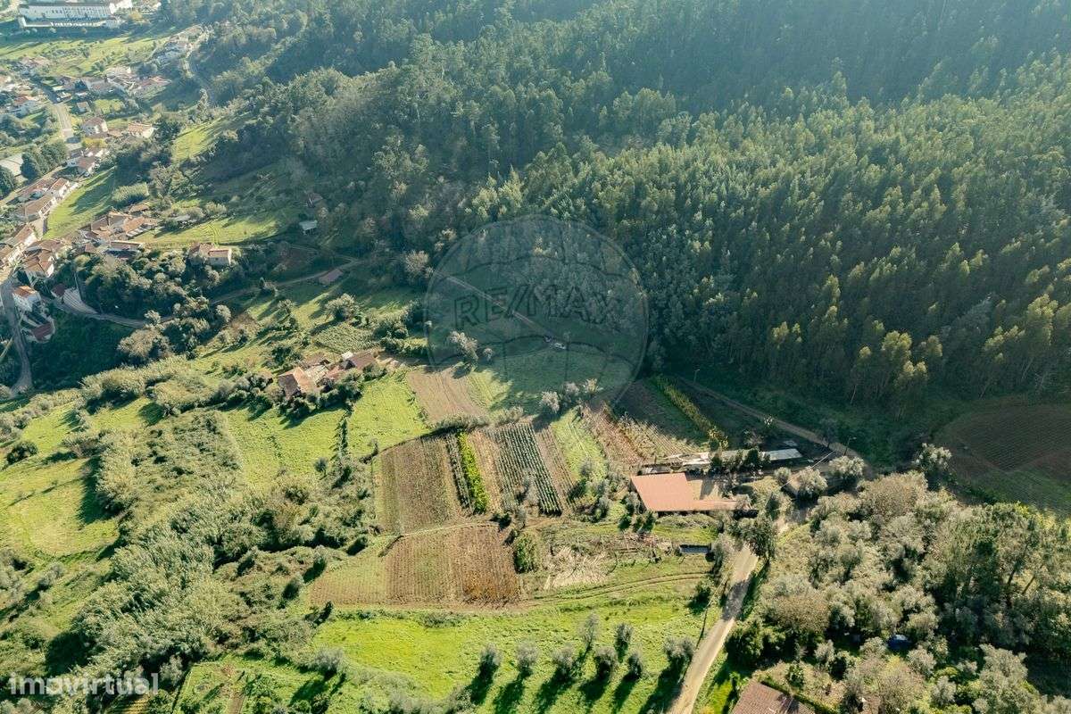 Terreno  para venda - Grande imagem: 5/15