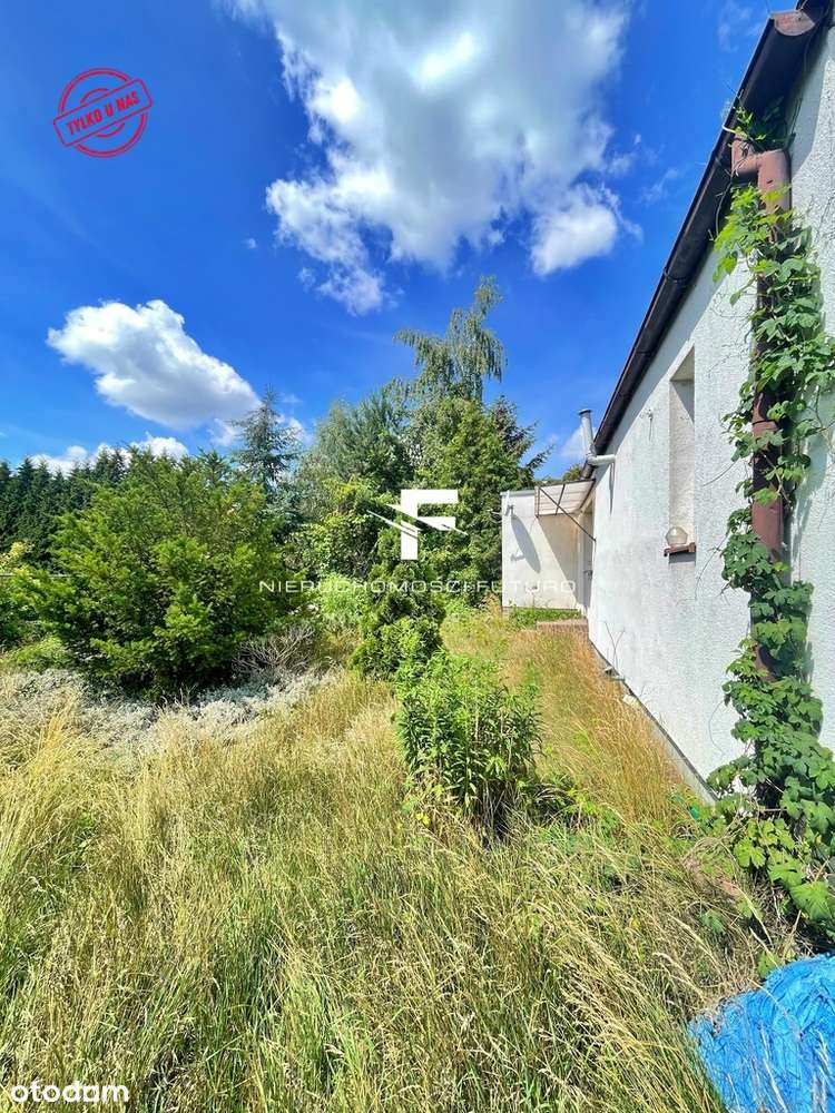 Działka z domem MPZP wszystkie media 2000m2-7