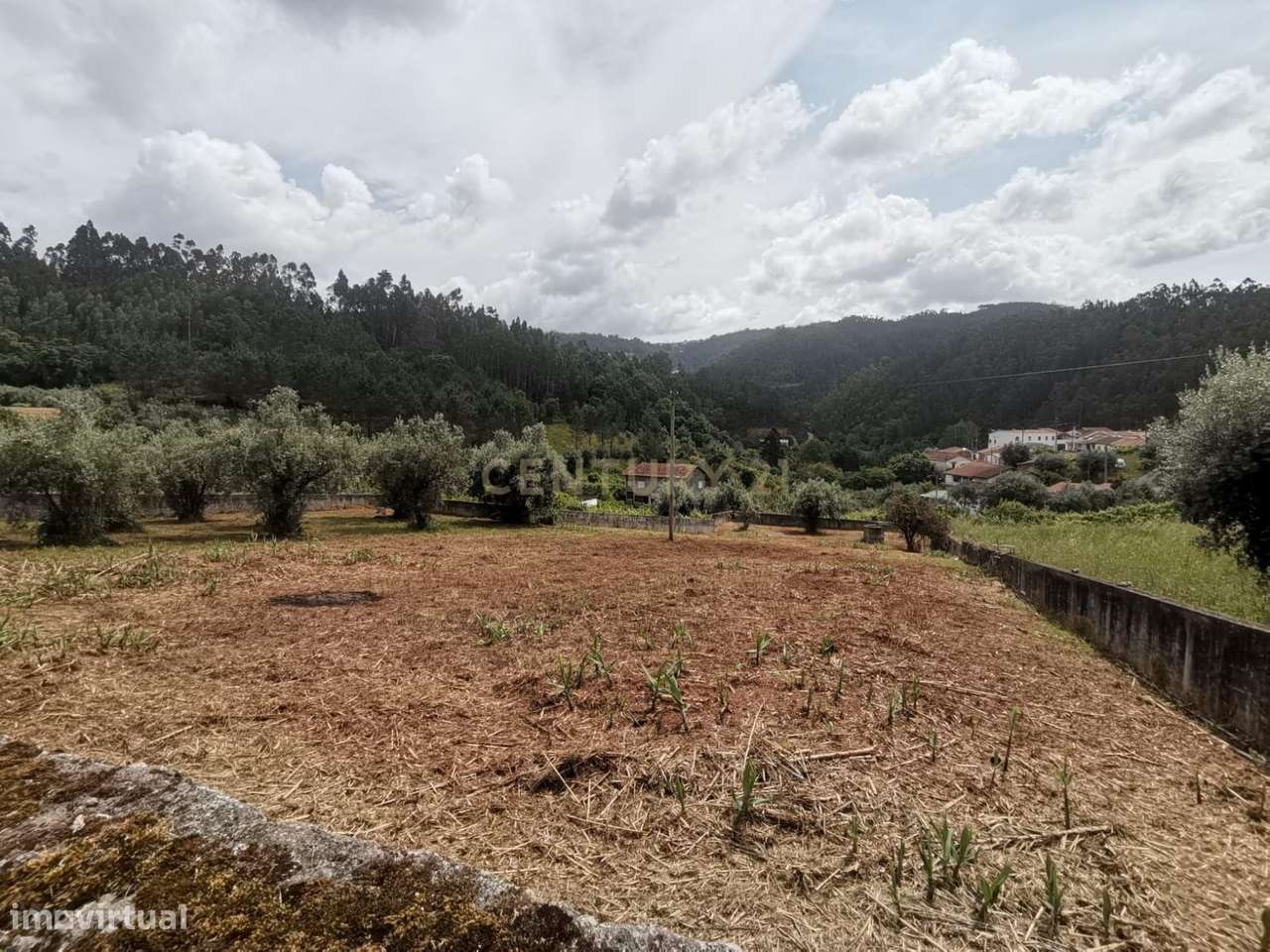 Terreno para Construção | Ceira-19