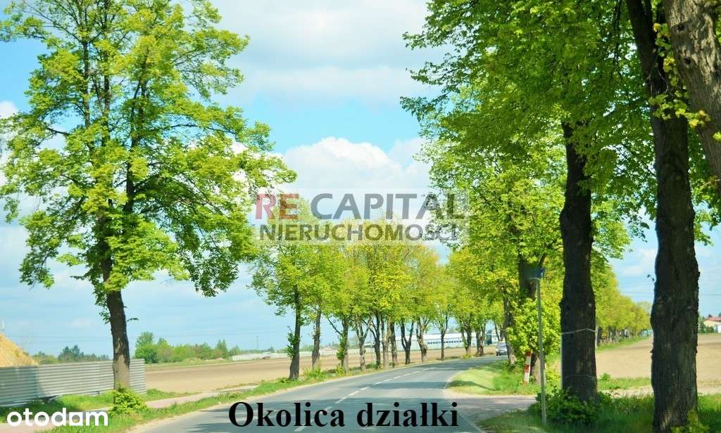 Działka Strzykuły Ożarów Blisko Warszawy-3