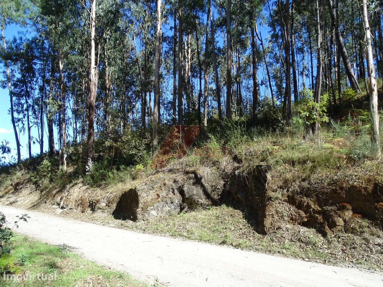 TERRENO PARA CONSTRUÇÃO EM SERAFÃO - FAFE!-8