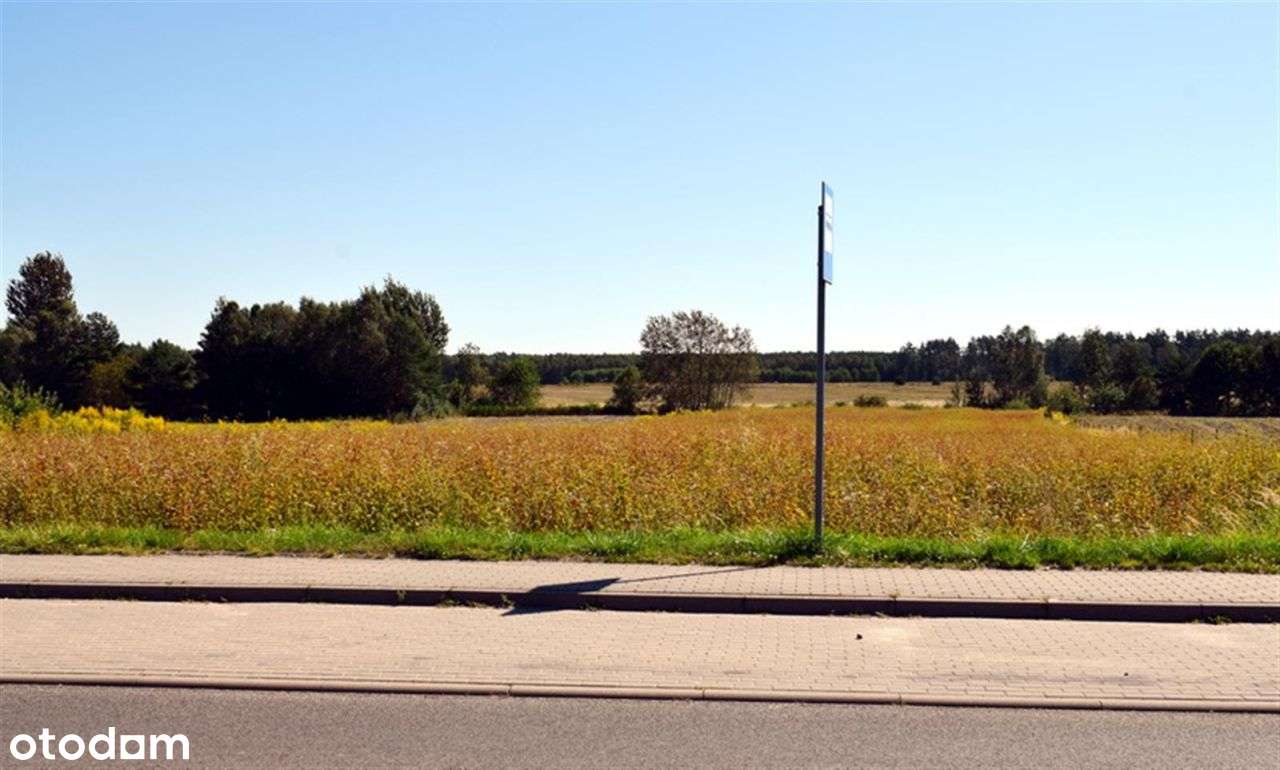 Działka - Wierzchowo - Pełny obrazek: 5/18