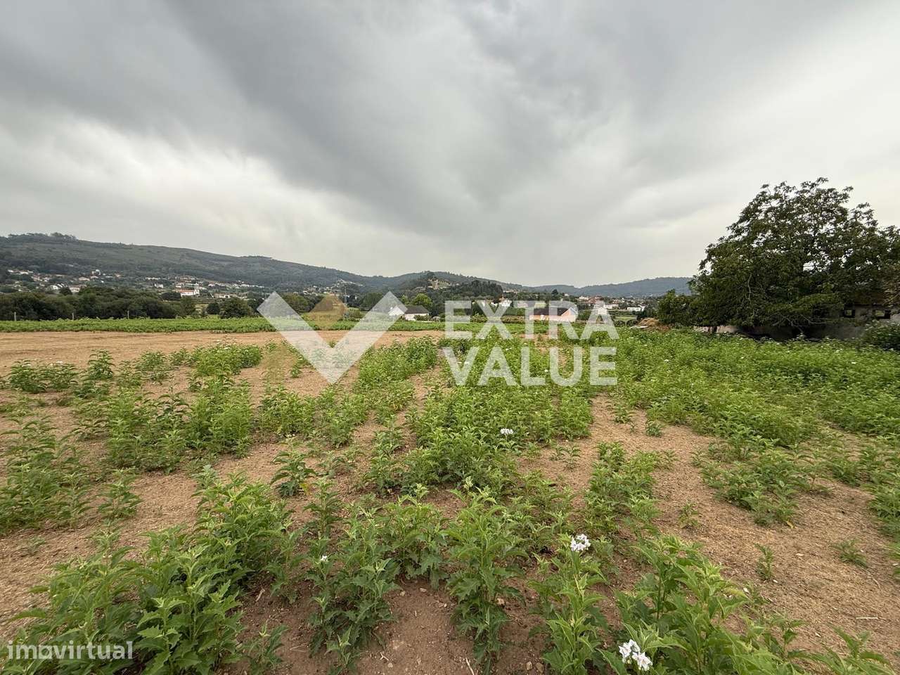 Quinta T6 Venda em Fontoura,Valença-15