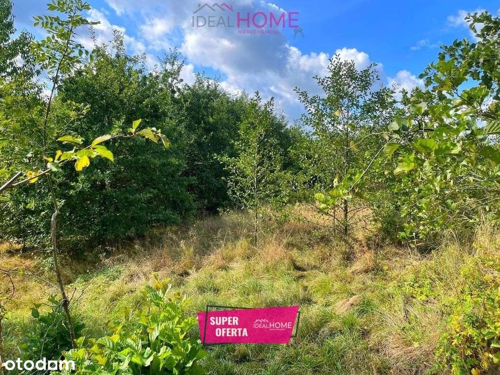 Działka - Golcowa 30 a (pow. brzozowski) - Pełny obrazek: 1/18