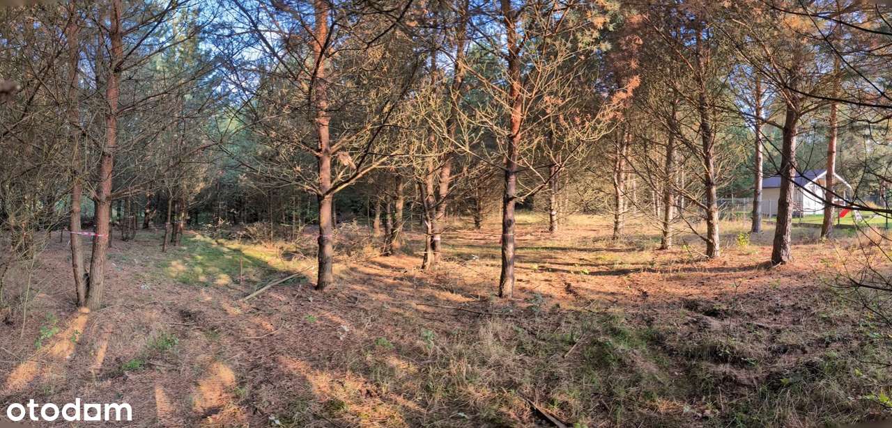 Słoneczna, zalesiona działka z projektem i pozw. na bud. Dom w 2 msc. - Pełny obrazek: 4/10