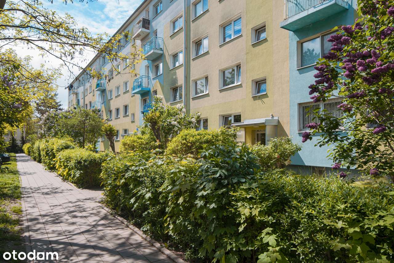 Rodzinne mieszkanie – 3 pokoje w otoczeniu zieleni-12