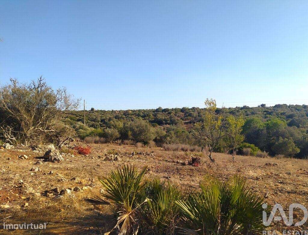Terreno de Lazer em Bensafrim e Barão de São João de 6240,00 m2 - Grande imagem: 4/11