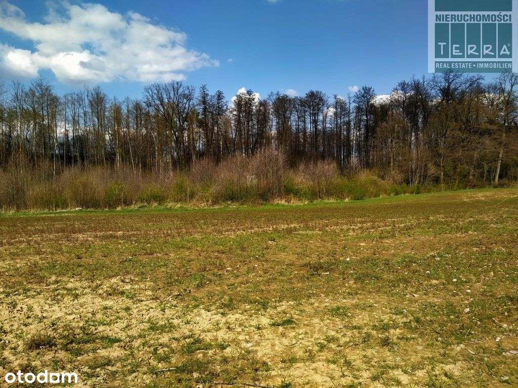 Grunty Rolne - Pełny obrazek: 4/8