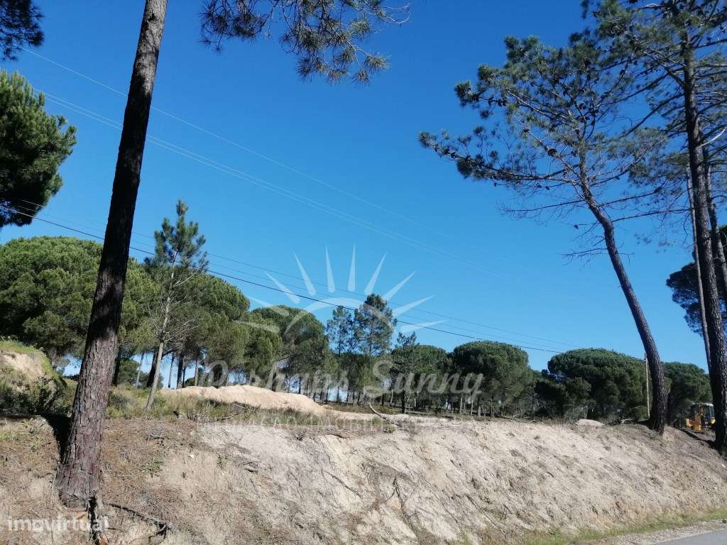 Armazéns de Atividade Industrial - Grande imagem: 4/9