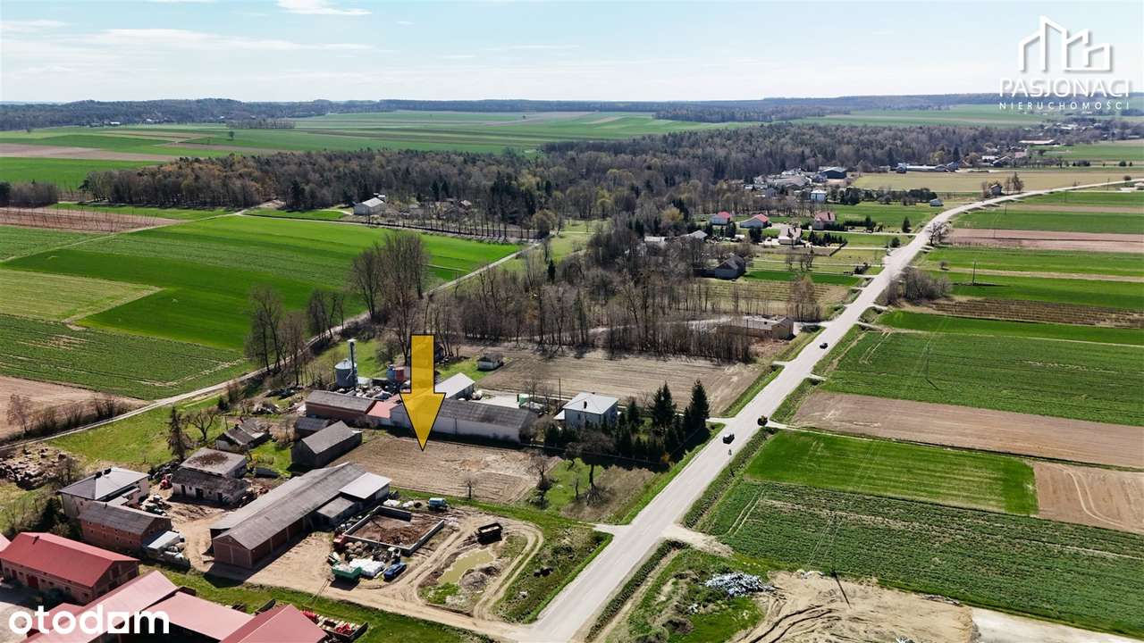Działka z nasadzeniami Majdanek Kozicki gm. Piask - Pełny obrazek: 5/8